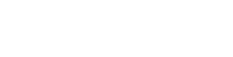  rsrapport 2024