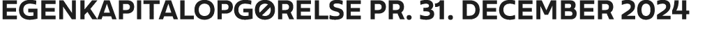 EGENKAPITALOPG RELSE PR. 31. DECEMBER 2024