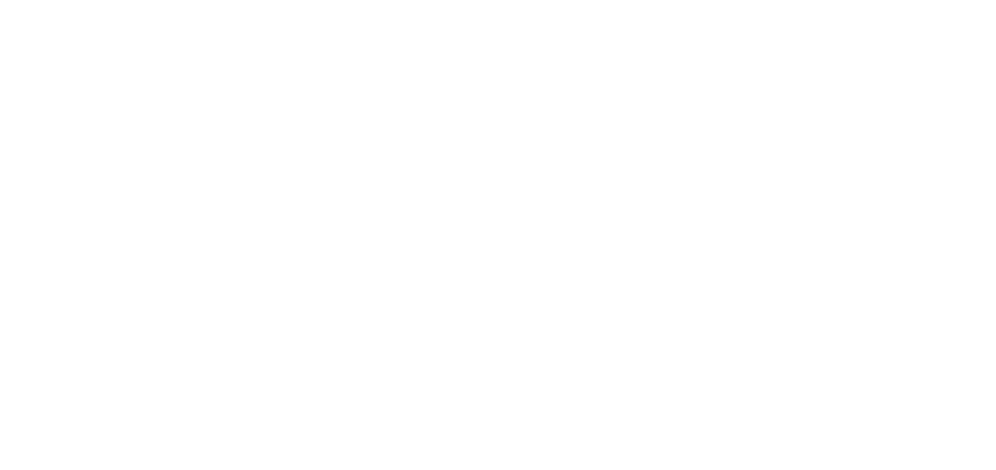 Dansk svensk bud p WEURO 2029 UEFA har  bnet budprocessen for EM i kvindefodbold 2029, og Danmark og Sverige har off...