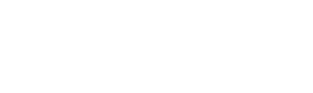 Kongen af Danmark Sommerens EM slutrunde i Tyskland b d ikke kun p sp ndende fodboldkampe, men ogs  p  den officiell...